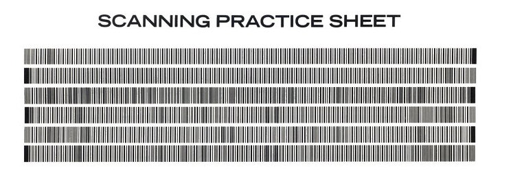 Part of the Databar OSCAR practice scanning sheet