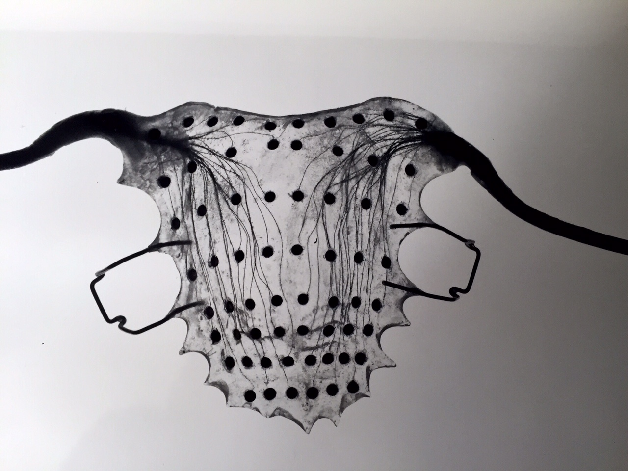Reading Electropalatography System archival photograph